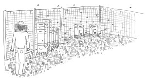 leo e le api3_piccola