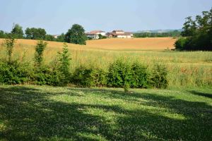 paesaggio_millefiori